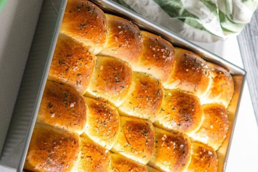 sourdough rolls recipe